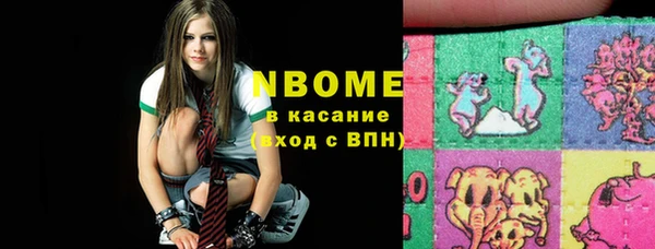 прущие грибы Каменск-Шахтинский