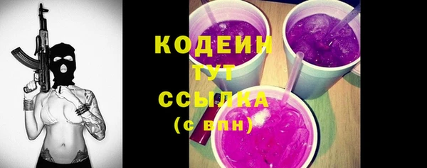 прущие грибы Каменск-Шахтинский