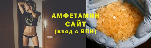 прущие грибы Каменск-Шахтинский