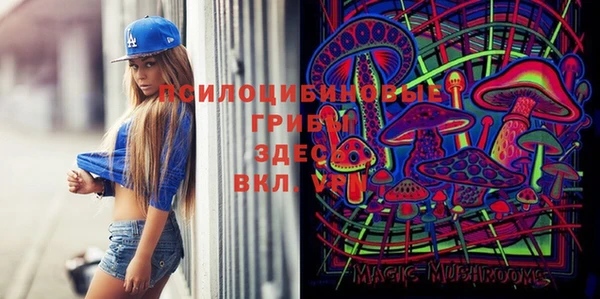 синтетический гашиш Каменка