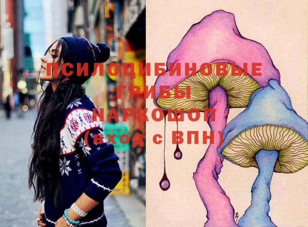 прущие грибы Каменск-Шахтинский