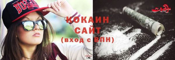 прущие грибы Каменск-Шахтинский